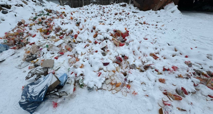 Владимирцы пожаловались на огромную несанкционированную свалку в городе 