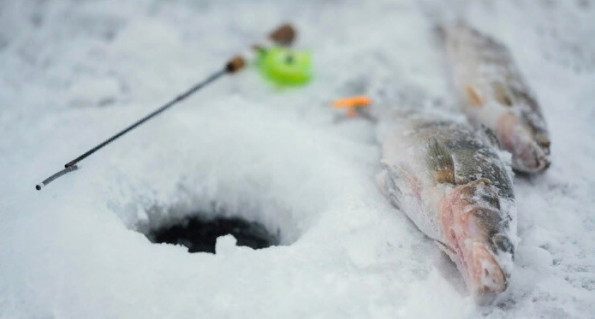 Во Владимирской области поймали рыбака, незаконно ловившего рыбу в акватории Клязьмы 