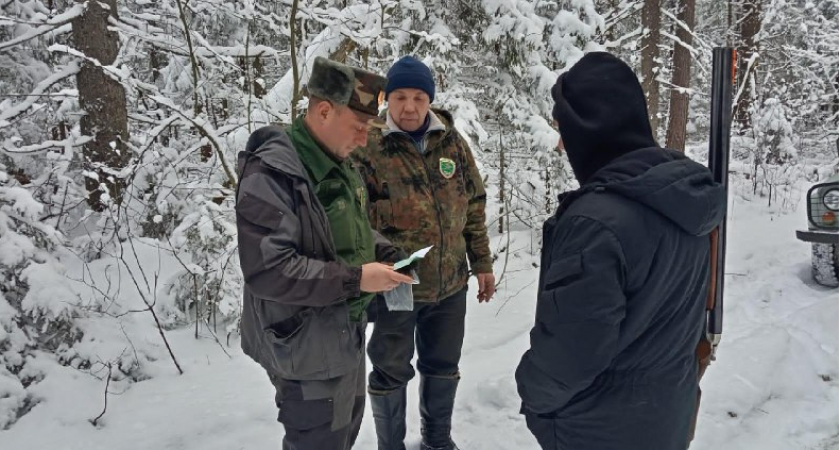 В прошлом году во Владимирской области выявили 24 случая незаконной охоты 