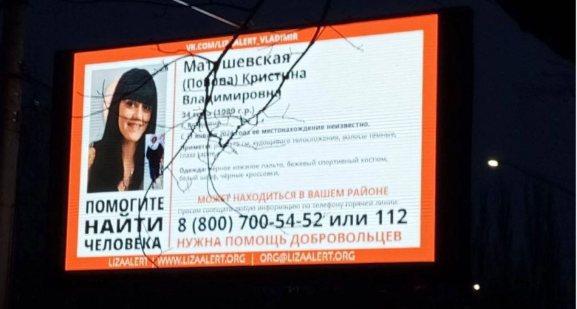 Фото к статье: Во Владимире 11 дней продолжаются поиски молодой женщины