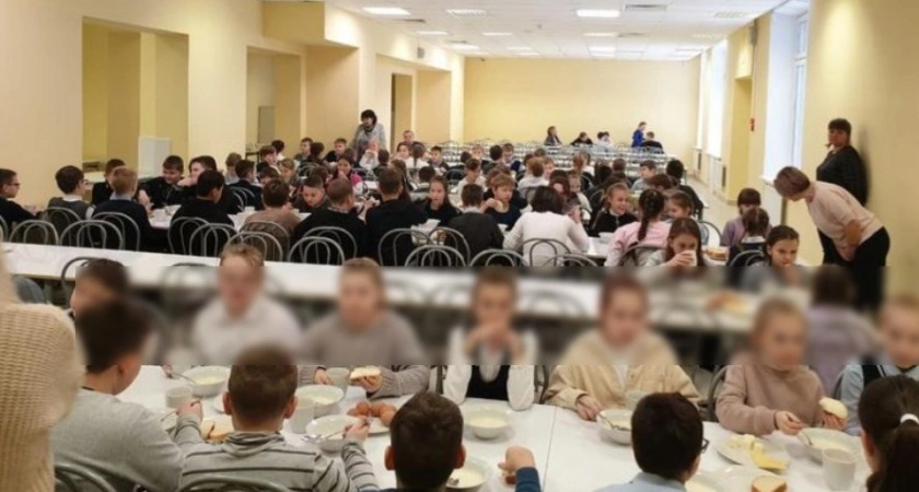 Фото к статье: Во Владимирской области продолжается общественная проверка качества питания в школах