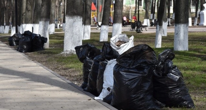 Фото к статье: Названа дата проведения общегородского субботника во Владимире