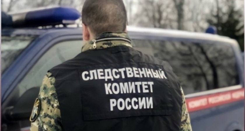 Бастрыкин поручил возбудить уголовное дело после сюжета об аварийных домах во Владимире
