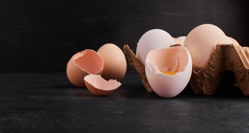 98% процентов садоводов используют яичную скорлупу неправильно: совет экспертов