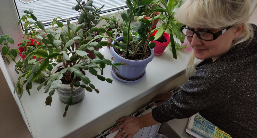 Владимирцы просят возобновить подачу отопления в квартиры