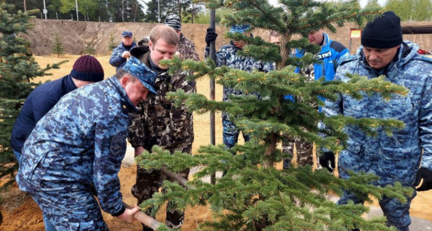 В Суздальском районе заложили Аллею Памяти в честь защитников Родины
