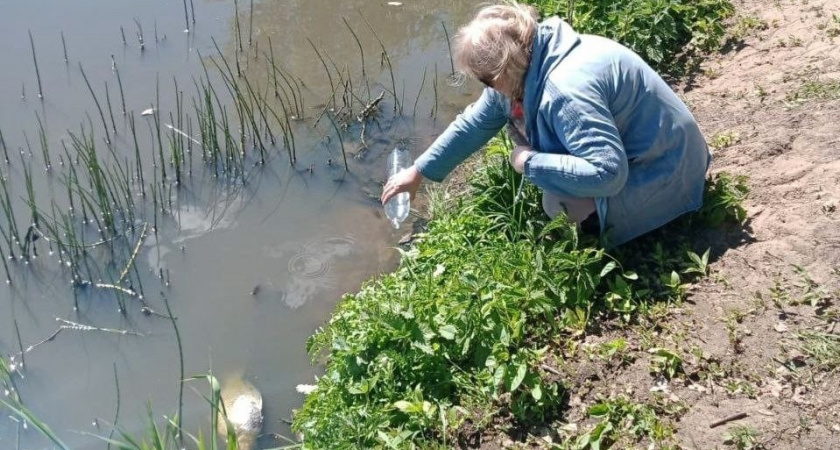 Жители одной из деревень Киржачского района пожаловались на зловонный запах и гибель рыбы в водоеме