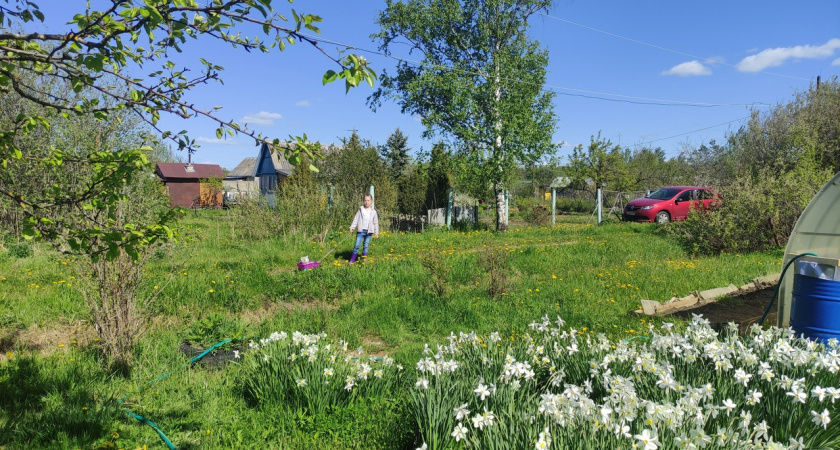 Полный запрет с сегодняшнего дня: неожиданный сюрприз для всех огородников и садоводов