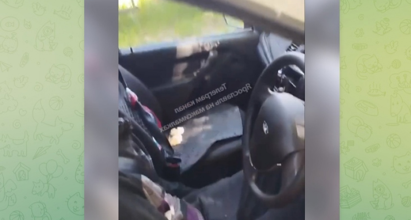 В автомобиле с владимирскими номерами обнаружили обезглавленное тело