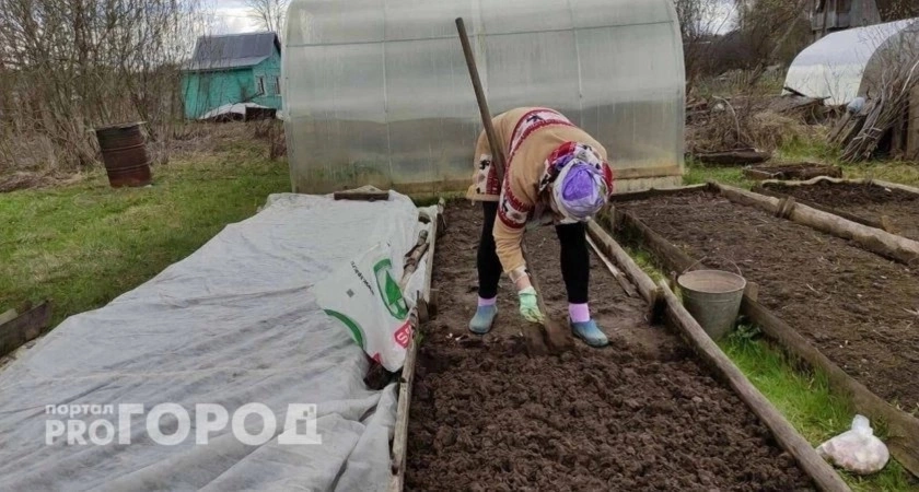 "Огород опасен": россиянам рассказали, кому и чем может навредить работа на грядках