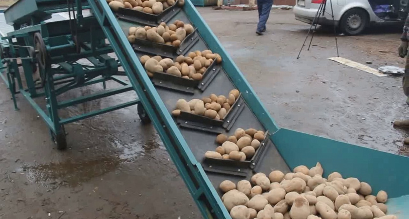 Во Владимирской области деревенский пенсионер украл транспортер для загрузки картофеля