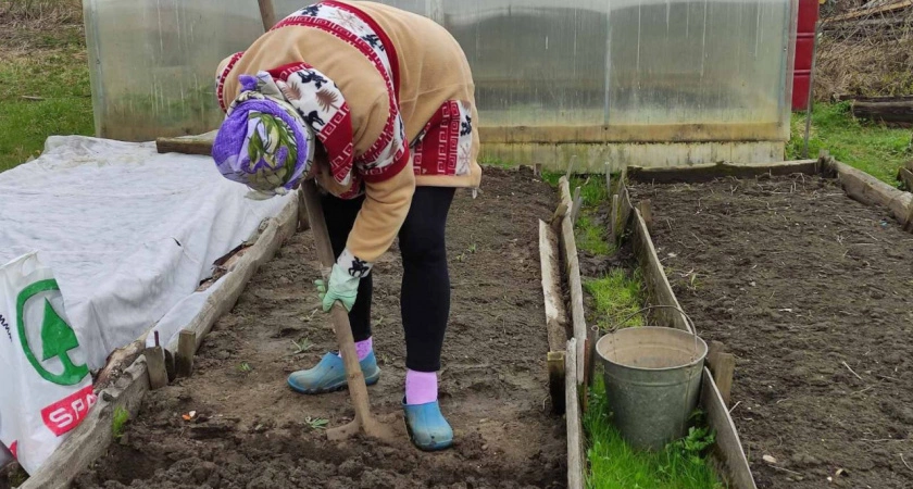 Фото к статье: Благоприятные и неблагоприятные дни: лунный календарь огородника на июнь-2024
