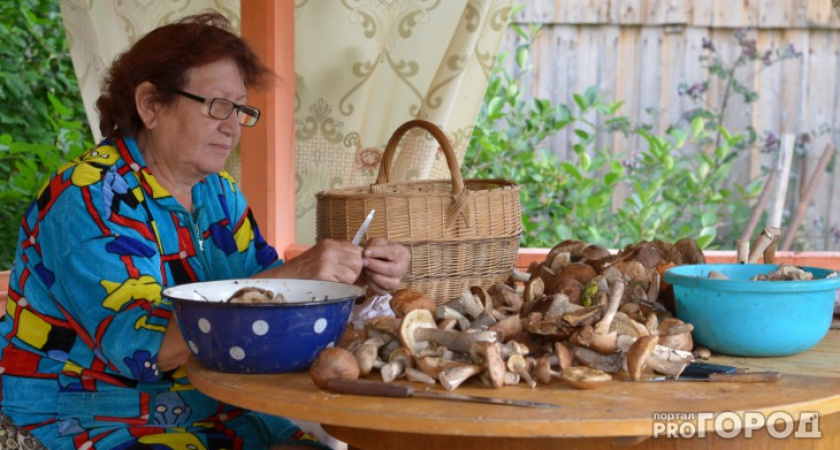"Яд в бульоне": врач объяснила, из каких съедобных грибов не стоит варить суп