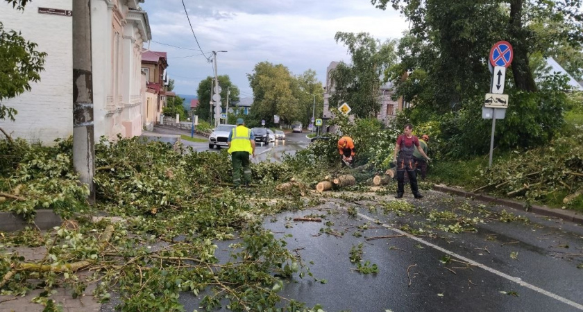 Во Владимире ураган "Эдгар" повалил около 50 деревьев 