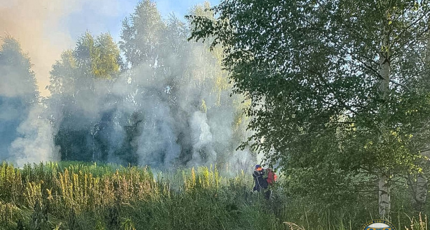 Во Владимирской области спасатели потушили пал травы 