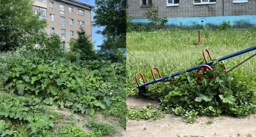 Прокуратура проверила в Александрове соблюдение норм летней уборки придомовых территорий