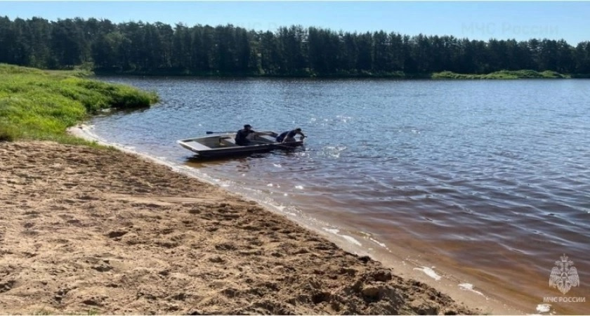 Число утонувших во Владимирской области выросло до 28 