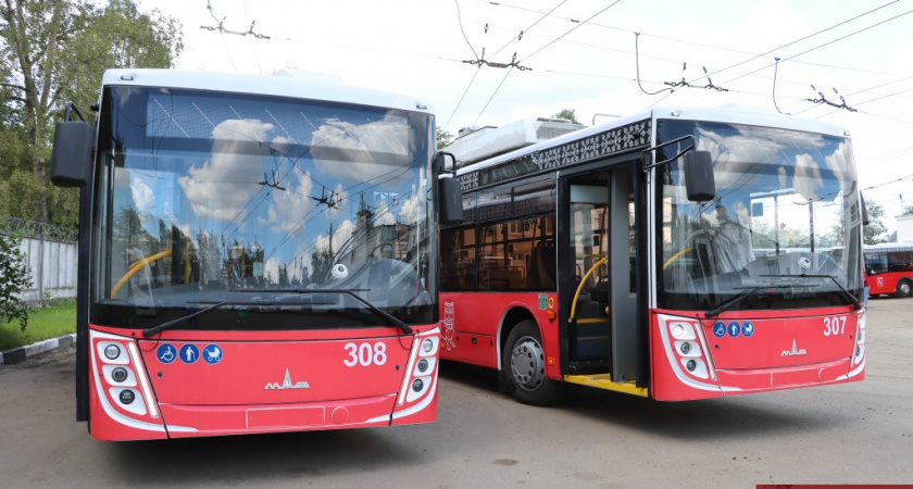 Владимирская горадминистрация ищет поставщика двух новый троллейбусов на автономном ходу 