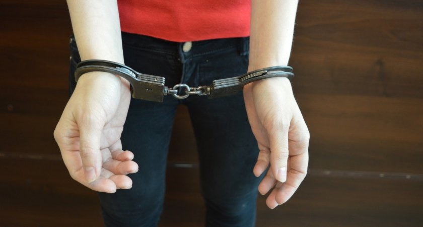 Женщина в Петушках набросилась с кулаками на полицейского, защищая супруга