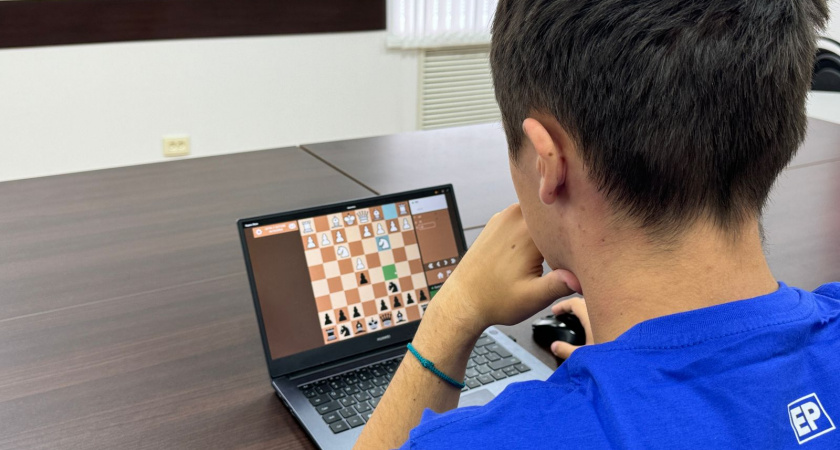 Во Владимирской области прошел онлайн-этап Всероссийского турнира по шахматам