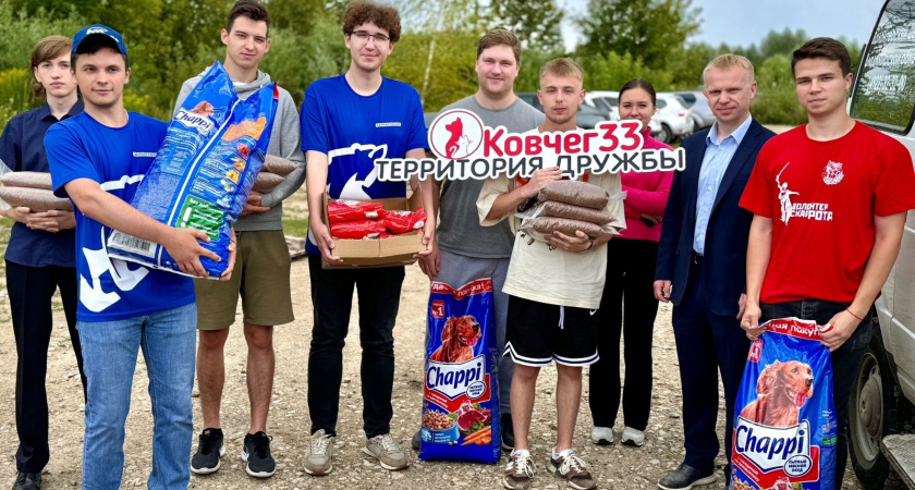 Волонтеры местного отделения «Единой России» города Владимира оказали помощь приюту для бездомных животных