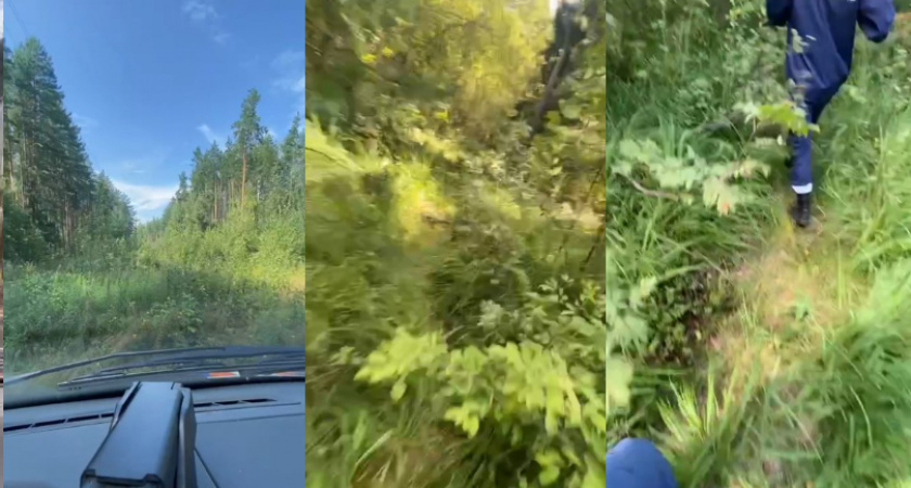 Ковровские спасатели оперативно разыскали в лесу заблудившуюся женщину с ребёнком