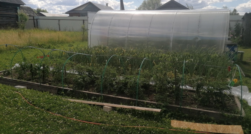 Лишатся земли: всем, у кого участок в собственности - новое жесткое правило с 5 августа