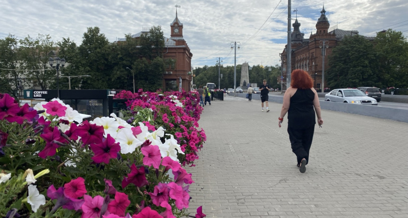 Во Владимире провалился проект озеленения 5 главных улиц города 