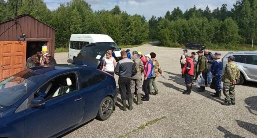Фото к статье: Во Владимирской области 7 дней разыскивают пенсионера в лесу