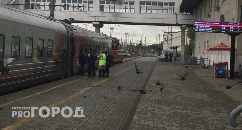 Лучше на боковушке, чем в купе: путешественники с огромным опытом берут плацкарт - вот почему