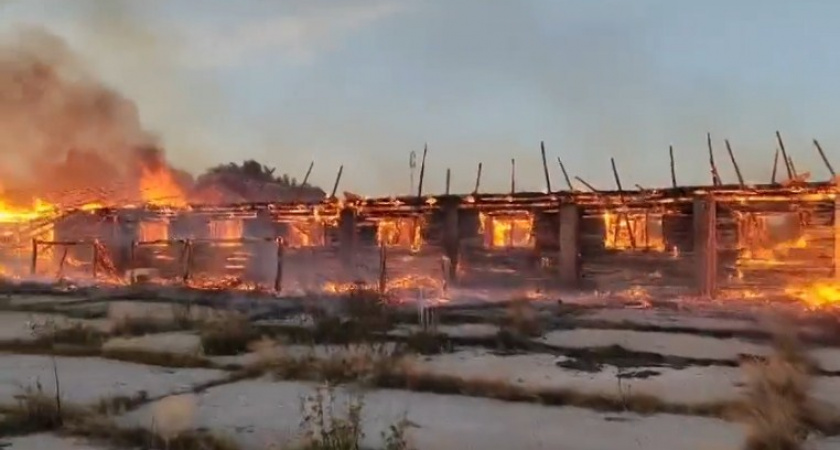 Во Владимирской области сгорел коровник