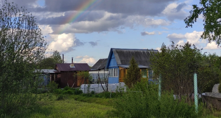 Фото к статье: Свалка вместо дачи: названы пять вещей, которые мешают создать уют в загородном доме