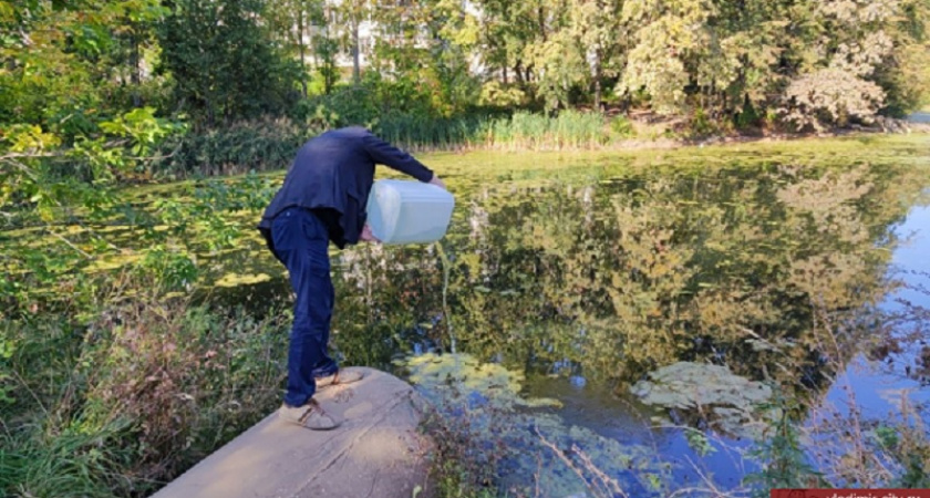 Во владимирские водоемы сливают суспензию хлореллы 