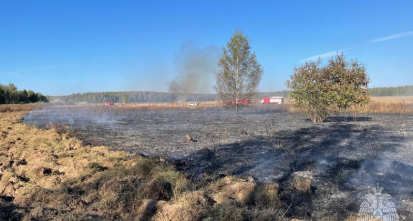 Во Владимирской области потушили ландшафтный пожар на 25 гектаров