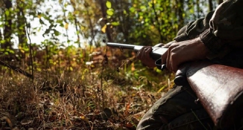 В лесу во Владимирской области нашли тело охотника 