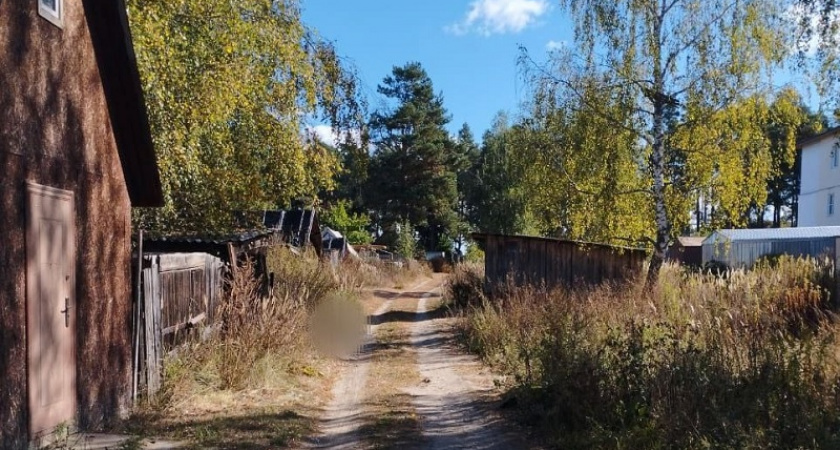 Нижегородца арестовали за убийство мужчины в Киржачском районе 