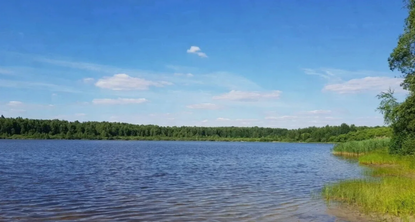 Во Владимирской области пожарный водоем отдали под частное рыбоводство 