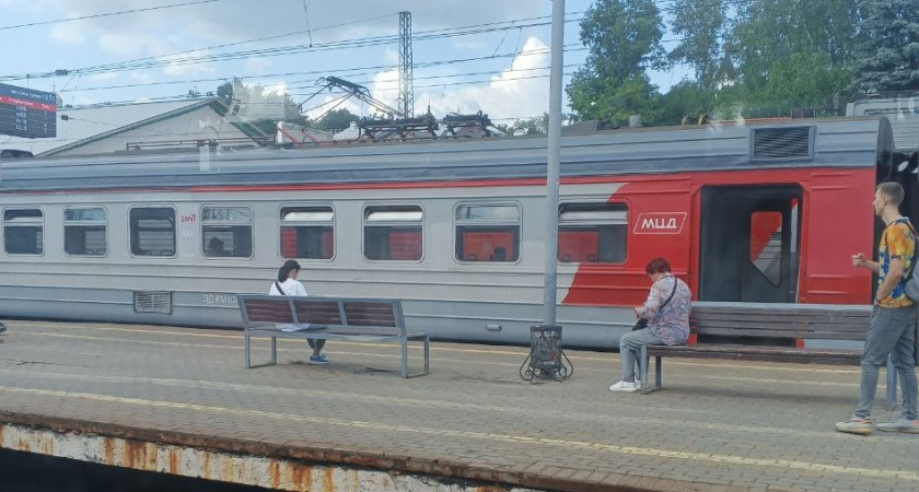 В Муроме трех нетрезвых жителей Нижнего Новгорода сняли с поезда за неадекватное поведение