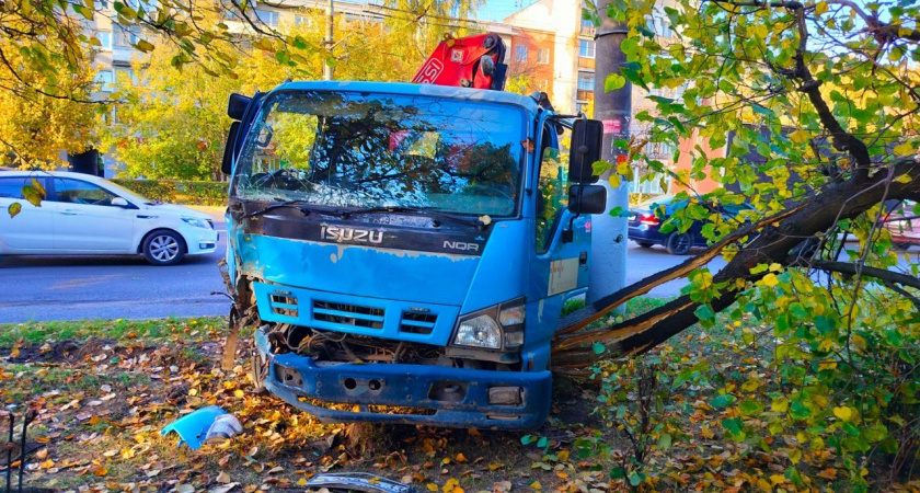 Во Владимире манипулятор вылетел на газон и снёс дерево