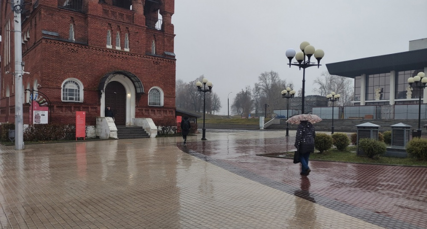 Во Владимирской области ожидаются дожди на выходных