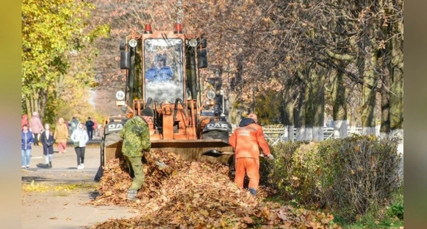 Во Владимире вывезли 60 тонн листвы и мусора за неделю