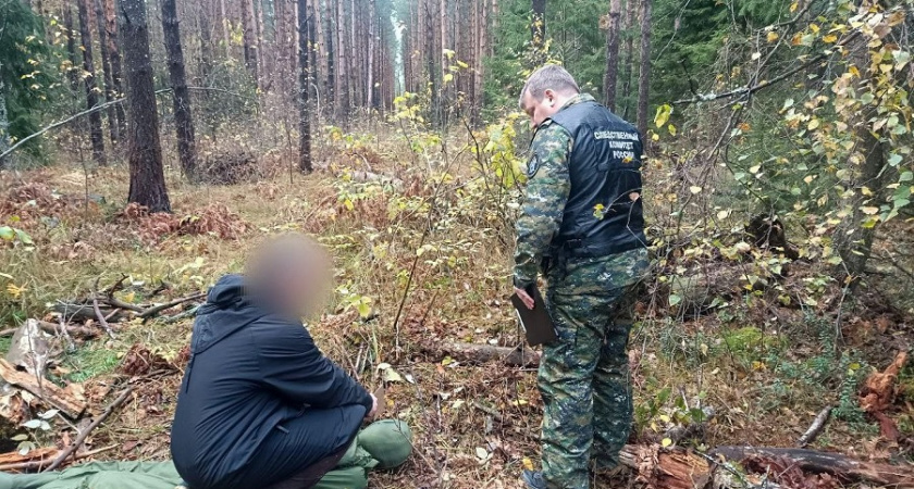 46-летний программист из Москвы зарубил жену топором и спрятал тело в лесу в Киржачском районе 