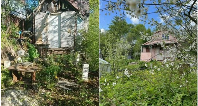 От ста до миллиона ста тысяч: почём во Владимире дачи этой осенью