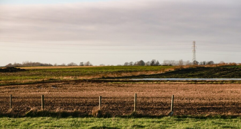 Во Владимире семье с 7-ю детьми выделили земельный участок без инфраструктуры 