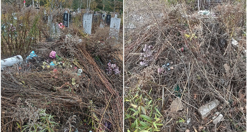 В "Улыбышево" прямо на могилах организовали свалку мусора 