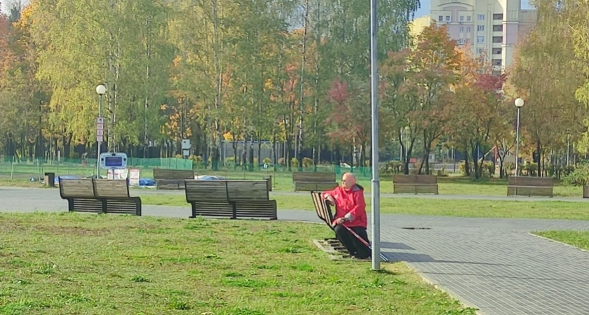 В ноябре на карты россиян придут новые суммы: выплаты и льготы последнего месяца осени