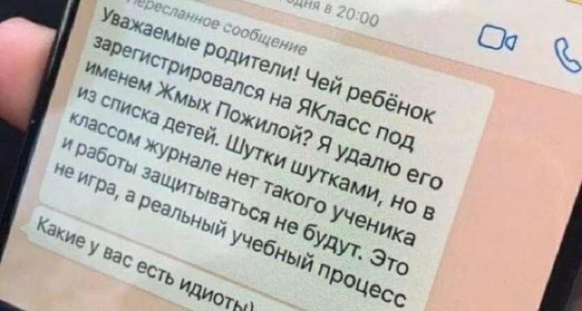 "После трех дней на дистанционке я понял, что мой сын просто тупой"