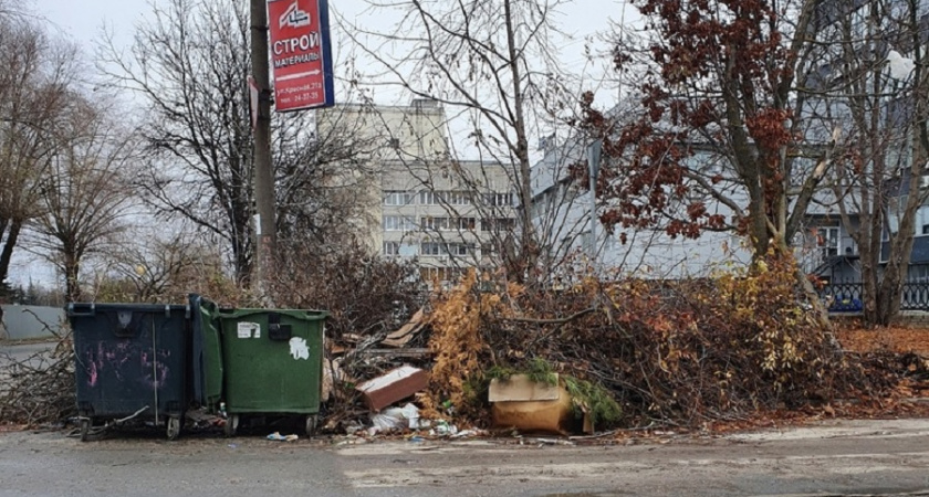 Прокуратура накажет владимирскую администрацию за плохую уборку города от мусора 