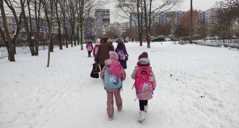 Главную тайна генетики раскрыта: стало известно, кто из родителей передает свой интеллект ребенку