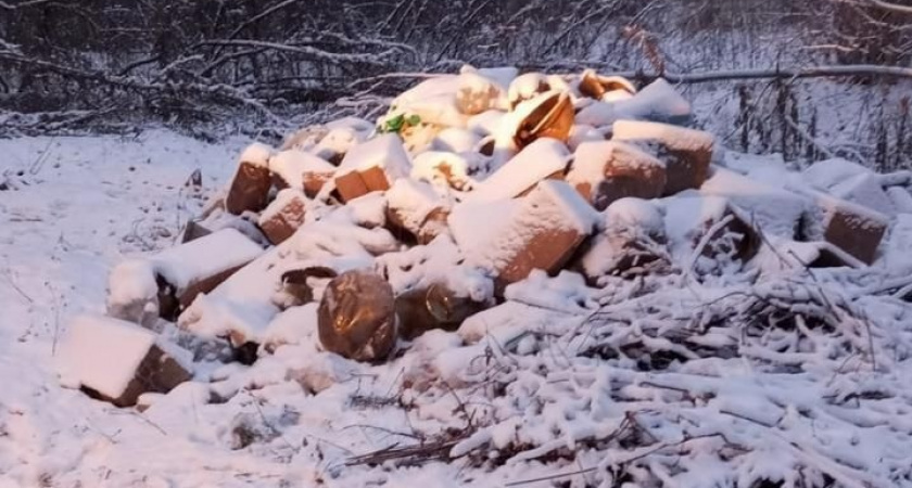 Во владимирском парке «Дружба» ликвидировали свалку